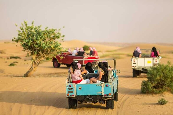 Explore the stunning sand dunes of Dubai in vintage Land Rovers surrounded by native wildlife and the rich Bedouin culture creating unforgettable moments in the desert.